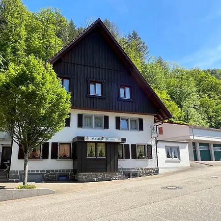 Ferienwohnung-blume Eg 1 Lägenhet *