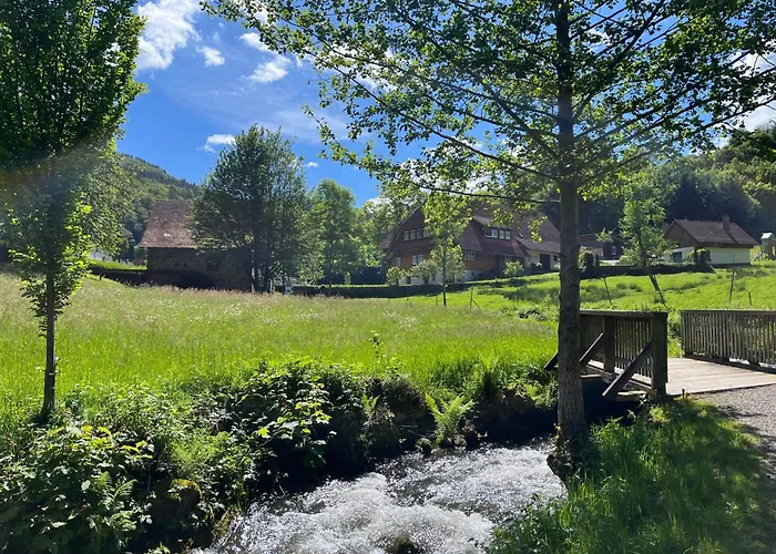 Apartamento Ferienwohnung-blume Eg 1 Wolfach